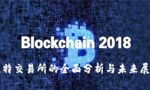 比特交易所的全面分析与未来展望