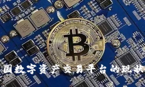 ```xml
探索中国数字资产交易平台的现状与未来