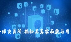 比特全球交易所：揭秘其真实面貌与用户体验
