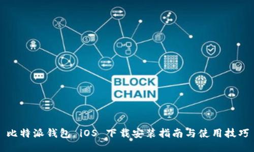 比特派钱包 iOS 下载安装指南与使用技巧