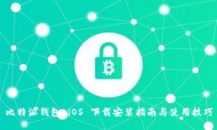 比特派钱包 iOS 下载安装指南与使用技巧