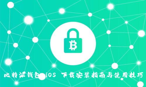 比特派钱包 iOS 下载安装指南与使用技巧