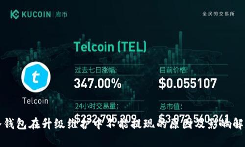 冷钱包在升级维护中不能提现的原因及影响解析