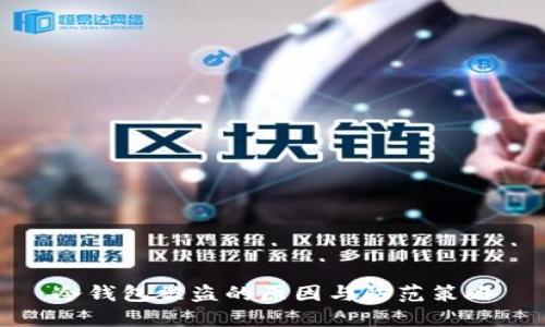 冷钱包被盗的原因与防范策略