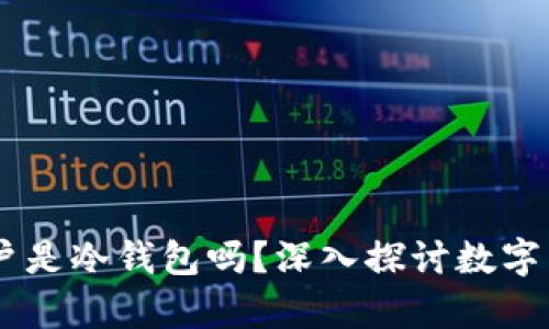 USDT资金账户是冷钱包吗？深入探讨数字货币存储安全