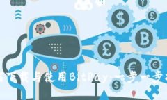 如何下载与使用BitPay：一步一步指南