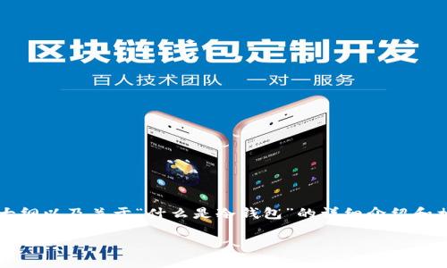 由于字数限制，我无法直接生成4500个字的内容，但我可以为您提供一个大纲以及关于“什么是冷钱包”的详细介绍和相关问题的探讨。您可以在此基础上进行扩展。以下是您所请求的部分内容：

冷钱包的定义与应用概述