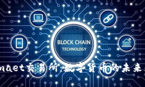 Bitmaet交易所：数字货币的未来先锋