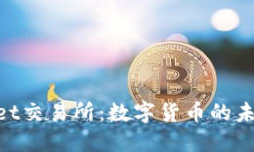 Bitmaet交易所：数字货币的未来先锋