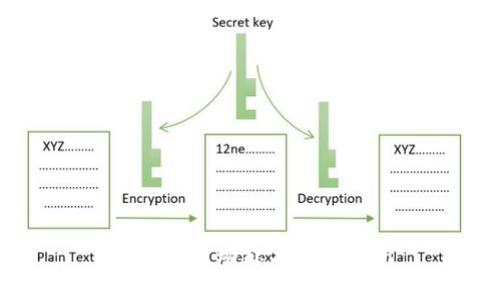 币圈最新动态与前景分析