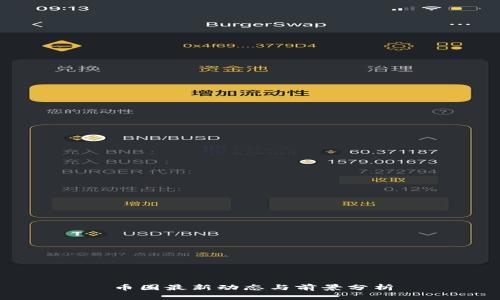 币圈最新动态与前景分析