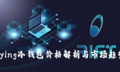 bying冷钱包价格解析与市场趋势