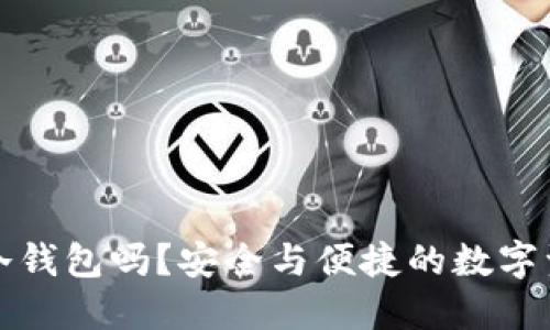 国内可以使用冷钱包吗？安全与便捷的数字资产管理新选择