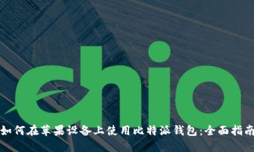 如何在苹果设备上使用比特派钱包：全面指南