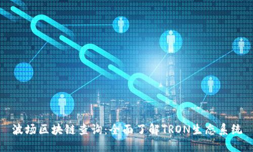 波场区块链查询：全面了解TRON生态系统