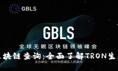 波场区块链查询：全面了解TRON生态系统