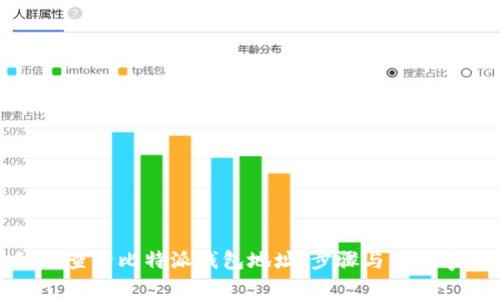 如何查看比特派钱包地址：步骤与注意事项