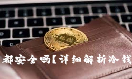任何币放入冷钱包都安全吗？详细解析冷钱包的安全性与风险