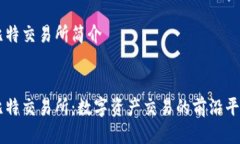 比特交易所简介比特交易所：数字资产交易的前
