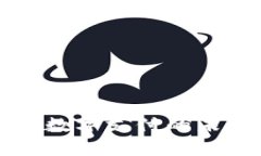 Gopay币：数字支付的未来与机遇