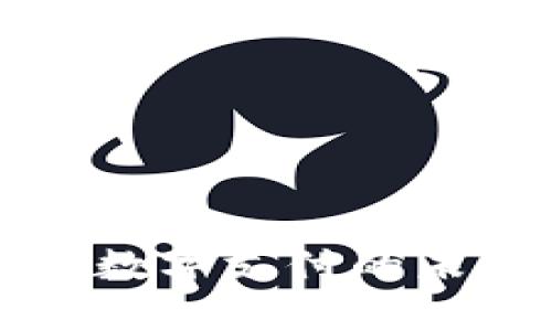 Gopay币：数字支付的未来与机遇
