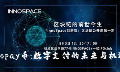 Gopay币：数字支付的未来与机遇