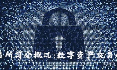 比特交易所简介概况：数字资产交易的新时代