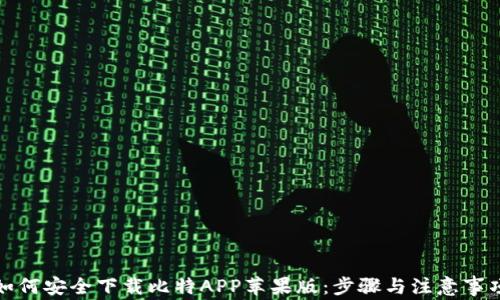
如何安全下载比特APP苹果版：步骤与注意事项