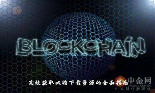 高效获取比特下载资源的全面指南