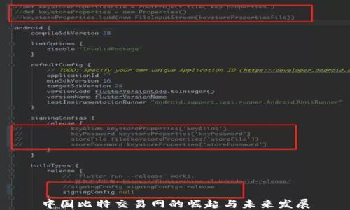 
中国比特交易网的崛起与未来发展
