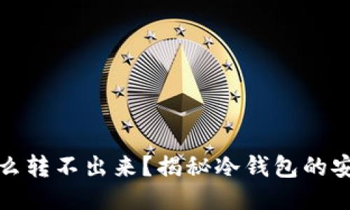 冷钱包里的钱怎么转不出来？揭秘冷钱包的安全性与使用技巧