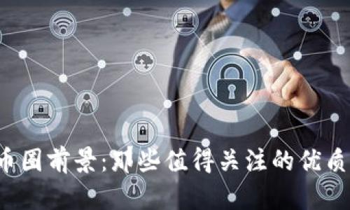 2023年币圈前景：那些值得关注的优质数字货币