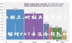   冷钱包里的PAT币解析：安全储存与投资策略 /