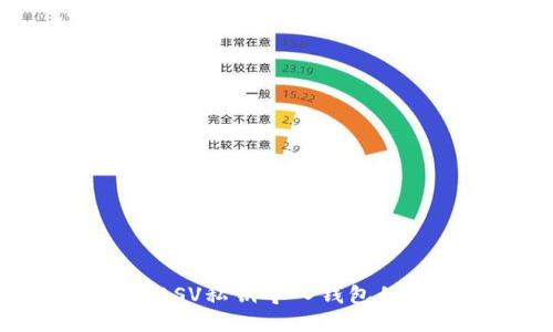 如何支持BSV私钥导入钱包的全面指南