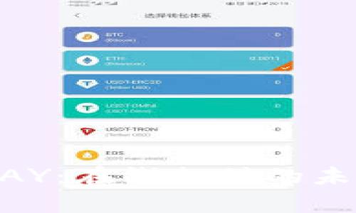 全面解析OKPAY：在线支付的未来趋势与应用