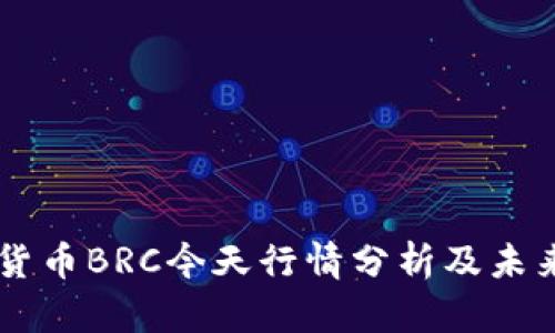 虚拟货币BRC今天行情分析及未来展望