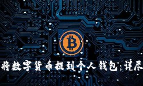 如何将数字货币提到个人钱包：详尽指南