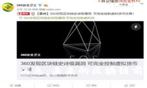 盛源链最新官方消息：未来的区块链前景与发展策略