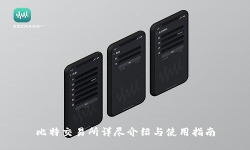 比特交易所详尽介绍与使用指南