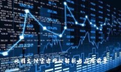 比特支付官方网站解析与应用前景