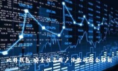 比特钱包：安全性与用户体验的综合评析