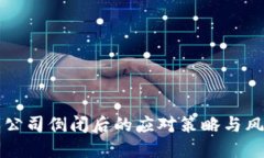 比特派公司倒闭后的应对策略与风险管理