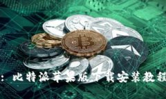 : 比特派苹果版下载安装教程