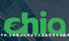 比特派百科：全面解读比特派及其在数字货币领