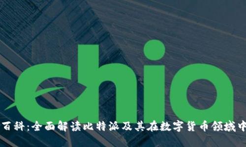 比特派百科：全面解读比特派及其在数字货币领域中的应用