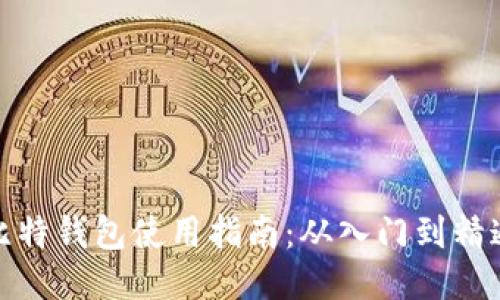 比特钱包使用指南：从入门到精通