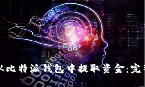 如何从比特派钱包中提取资金：完整指南