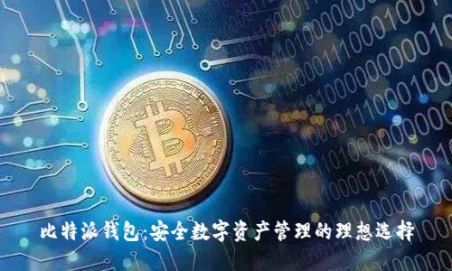 比特派钱包：安全数字资产管理的理想选择