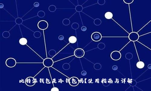 比特派钱包是冷钱包吗？使用指南与详解