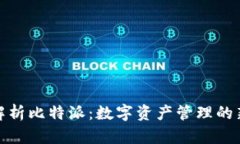 全面解析比特派：数字资产管理的新选择